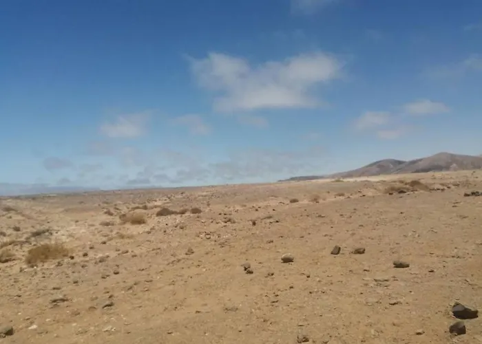 Fuertedreams * لا أوليفا